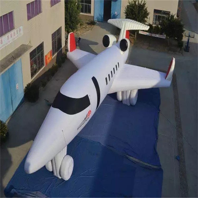 蔚县充气模型飞机